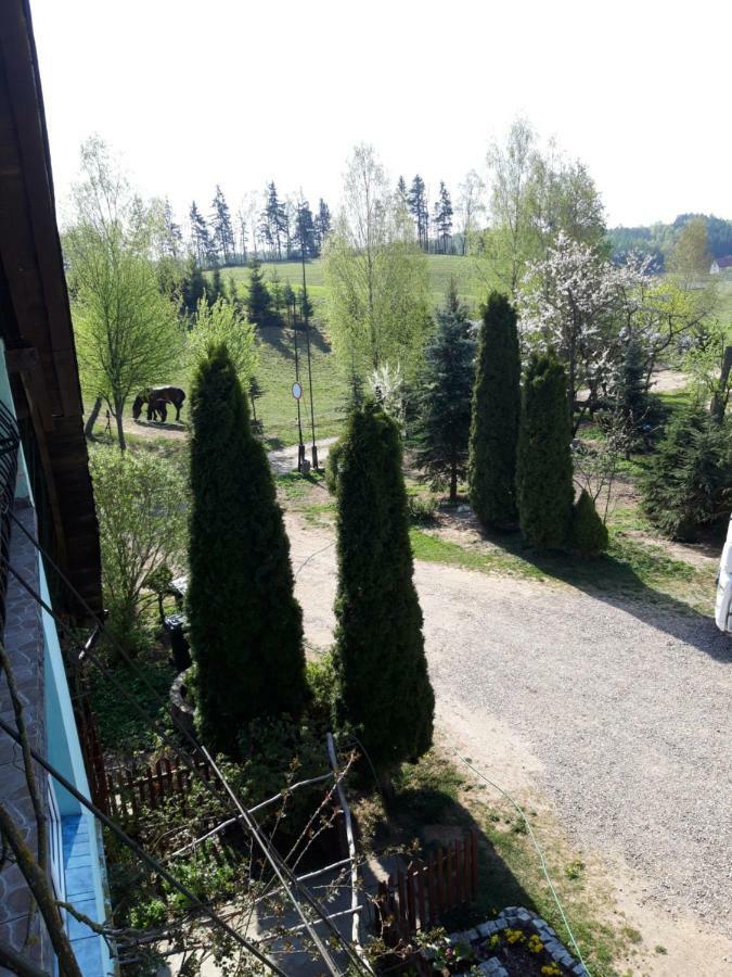 Agroturystyka Zielone Wzgorze Sikorzyno Экстерьер фото